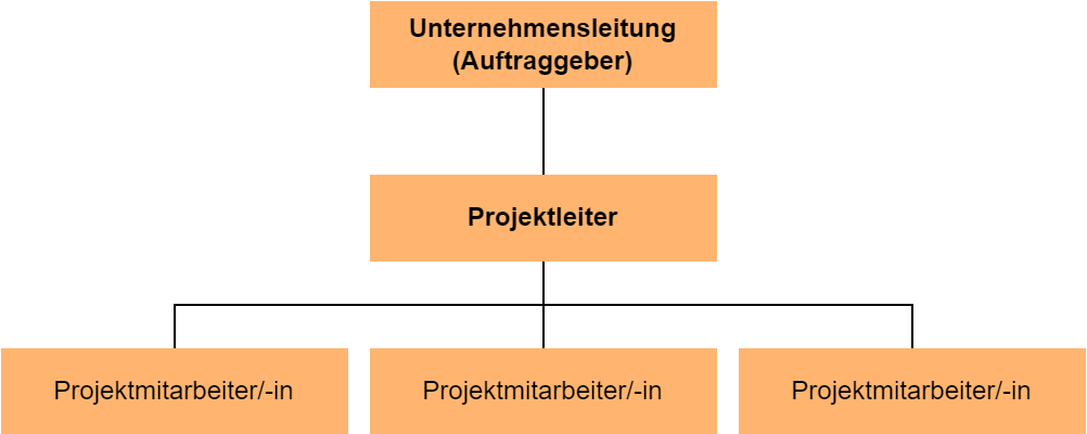 Die Autonome Projektorganisation als Grafik