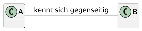 Bidirektionale Assoziation
