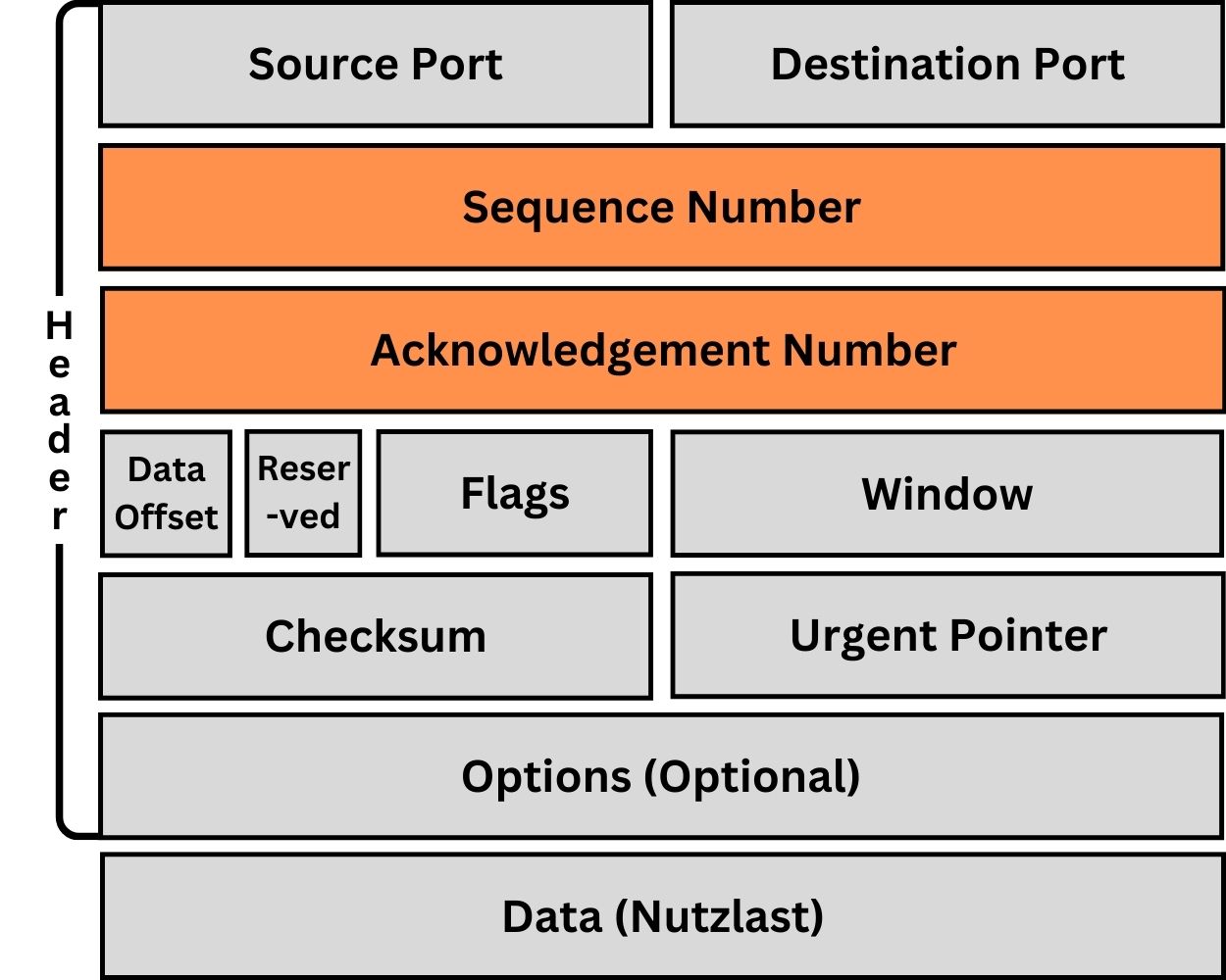 TCP Header