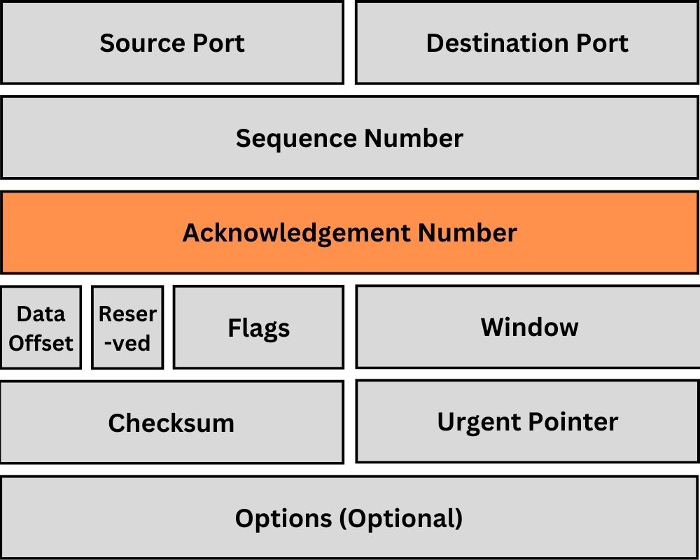 TCP-Header